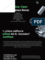 Práctica - Caso Almacenes Borac