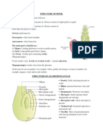 Sexual Reproduction in Flowering Plants Part 2