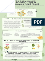 Describir Los Aceites Esenciales A1 E2