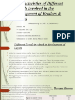 Characteristics of Different Breeds Involved in Development of Broilers & Layers