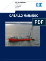 0 - Caballo Marango Specification 2016