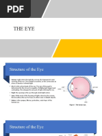 HSB Form 5 The Eye