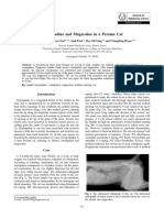 Hypospadias and Megacolon in A Persian Cat