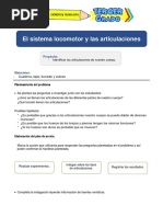 El Sistema Locomotor y Las Articulaciones: Planteamiento Del Problema