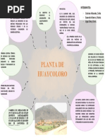 Mapa Conceptual Planta de Huaycoloro