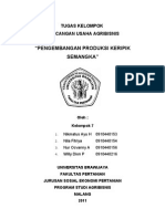 RUA Pengembangan Produksi Keripik Semangka MAKALAH FIX