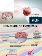 Cerebro y Trauma