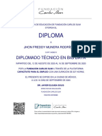 Diplomado Técnico en Big Data