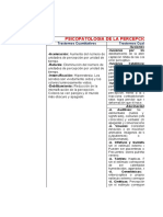 Psicopatologia de La Percepcion