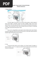 ENGLISH PHONOLOGY Materi 2