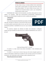 Armas de Fogo Curtas e Longas