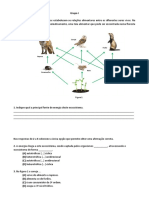 Teste Ciencias 8 Ano Fluxos de Energia Equilibrio Dinamico Ecossistemas