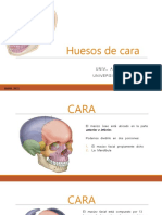 Huesos de Cara