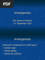 Amelogenesis