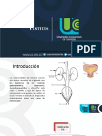 Cistitis Final