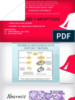 Necrosis y Apoptosis