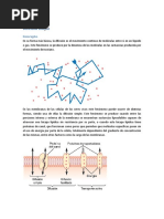 Transportes de Moléculas