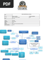 MAPAS CONCEPTUALES 3er PARCIAL