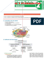 Briofitas y Pteridofitas para Segundo Grado de Secundaria