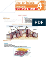 Cubierta y Membrana Celular para Cuarto Grado de Secundaria