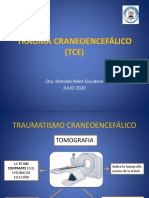 Clase 2 - Trauma Craneoencefalico