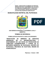 Termino de Referencia Del Proyecto - Camal Municipal de Pilpichaca - Modificado