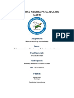 Tarea 2 Maestra Wanda Roman, Neurociencia y Aprendizaje