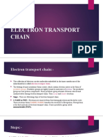 Electron Transport Chain