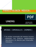 Amebas Comensales, Blastocitosis Clase 5