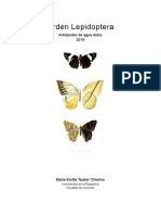 Orden Lepidoptera 