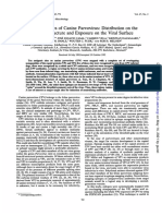 Journal of Virology-1993-Langeveld-765.full