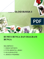 Morfologi Bunga 3