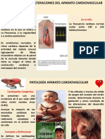 Unidad 4 Alteracciones Cardiovascular