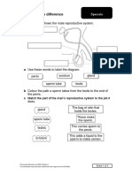 Spot The Difference: 1 This Diagram Shows The Male Reproductive System