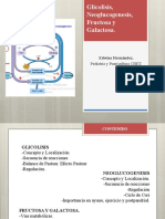 Bioquimica. Neoglucogenesis