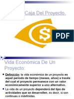 Flujo Caja Proyecto