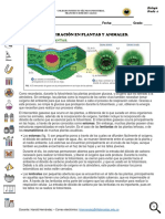 Guía Didáctica Respiración en Plantas Y Animales