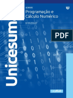 Unicesumar - Programação e Cálculo Numérico