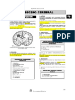 Absceso Cerebral