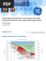 Challenges and Solutions in Developing Ultra-High Pressure Flexibles For Ultra-Deep Water Applications