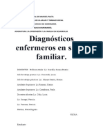 Diagnosticos Enfermeros en Salud Familiar. Sosa, Valeria