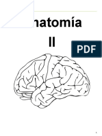 Anatomiìa II Resumen