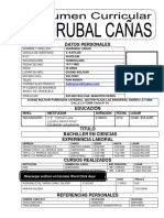 Formato Modelo Ejemplo de Resumen Curricular para Rellenarlo