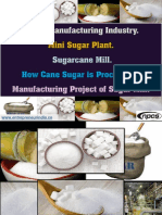 Sugar Manufacturing Industry. Mini Sugar Plant. Sugarcane Mill. - 11896