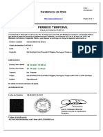 Permiso Temporal: Carabineros de Chile