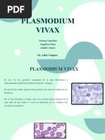 Presentacion Final Plasmodium Vivax