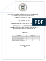 Modelo de Informe