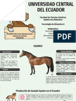 Industria Cárnica Ganado Equino FINAL