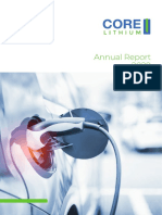 Annual Report 2020