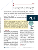 Recognition of Dextran Superparamagnetic Iron Oxide Nanoparticle Conjugates (Feridex) Via Macrophage Scavenger Receptor Charged Domains